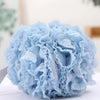 Extra Large Soft Lace Bath Sponge